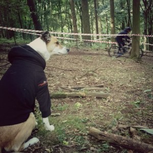 PicsArt_06-24-03.22.05