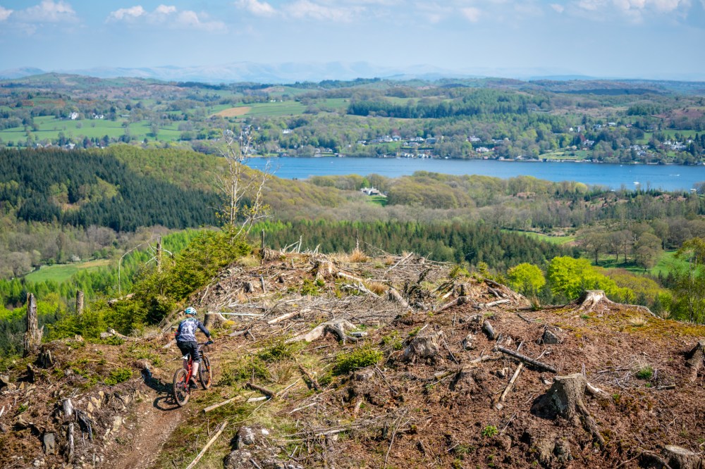 randr-photo-2821751-2048px