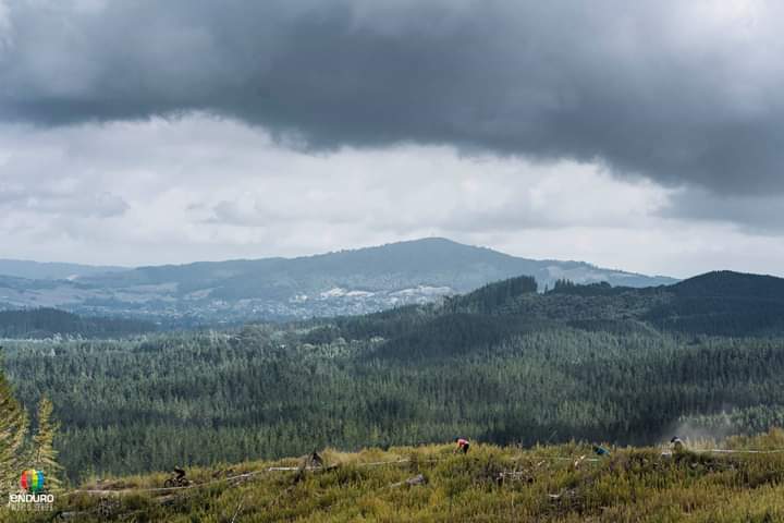 FB_IMG_1553455143433