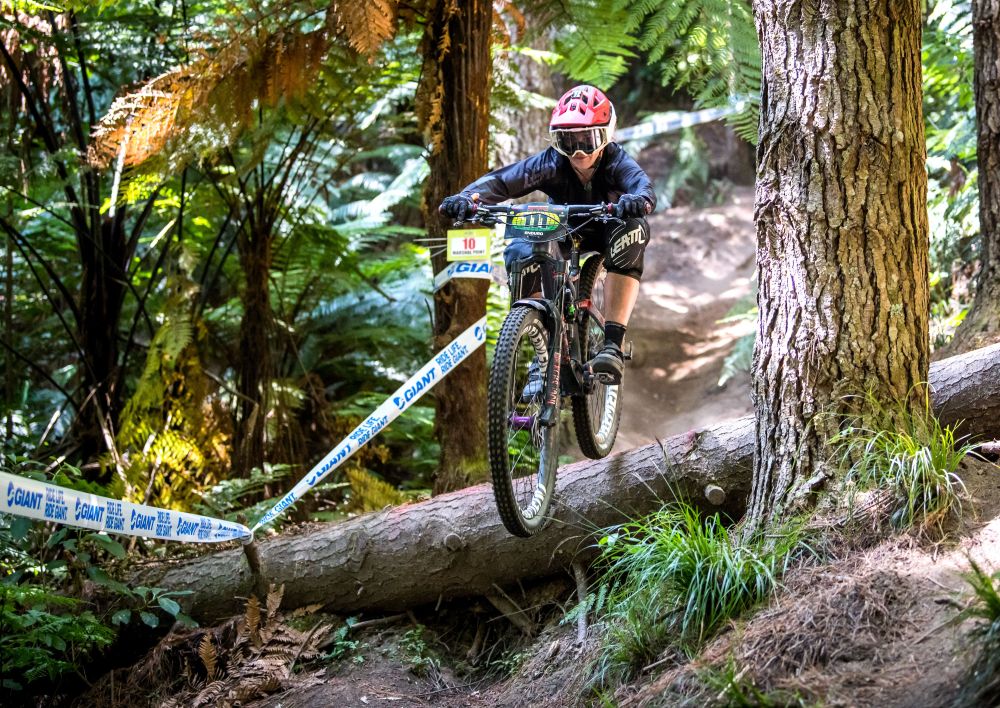 49607589817_559d215a1c_o